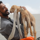 Human with normal-sized ears admires baby goat with extremely long ears.